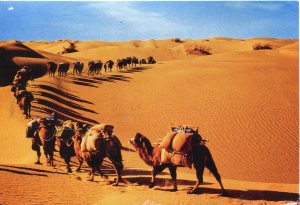 china-xinjiang-desert-caravan